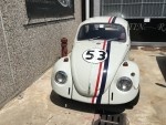 SHOWROOM